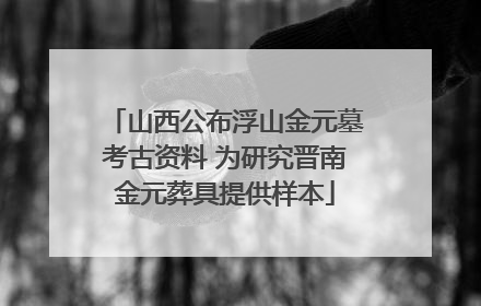 山西公布浮山金元墓考古资料 为研究晋南金元葬具提供样本