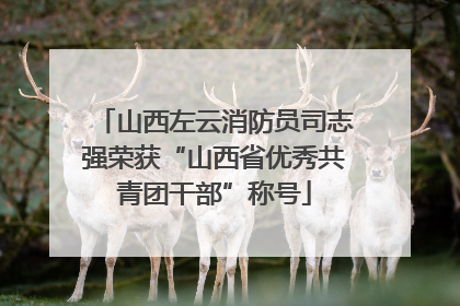 山西左云消防员司志强荣获“山西省优秀共青团干部”称号