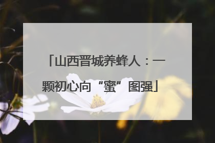 山西晋城养蜂人：一颗初心向“蜜”图强