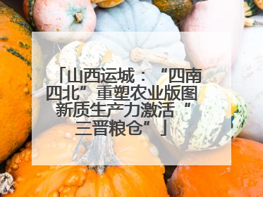 山西运城：“四南四北”重塑农业版图 新质生产力激活“三晋粮仓”