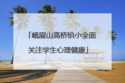 峨眉山高桥镇小全面关注学生心理健康