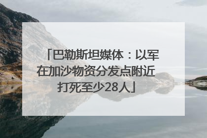 巴勒斯坦媒体：以军在加沙物资分发点附近打死至少28人