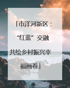 市洋河新区：“红蓝”交融 共绘乡村振兴幸福画卷