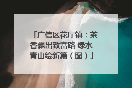 广信区花厅镇：茶香飘出致富路 绿水青山绘新篇（图）