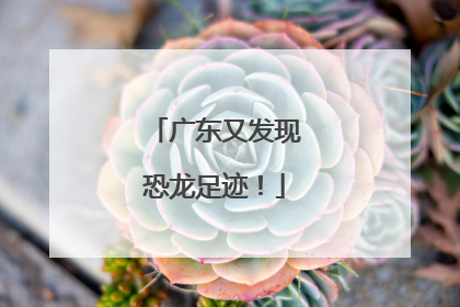 广东又发现恐龙足迹！