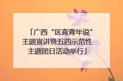 广西“区直青年说”主题宣讲暨五四示范性主题团日活动举行