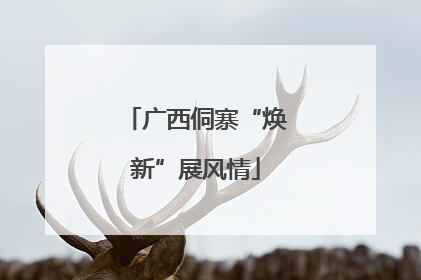 广西侗寨“焕新”展风情