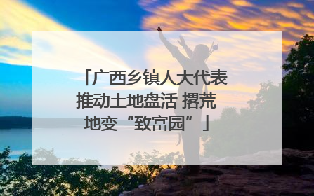 广西乡镇人大代表推动土地盘活 撂荒地变“致富园”