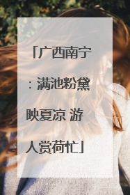 广西南宁：满池粉黛映夏凉 游人赏荷忙