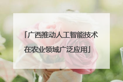 广西推动人工智能技术在农业领域广泛应用
