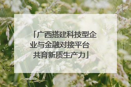 广西搭建科技型企业与金融对接平台 共育新质生产力
