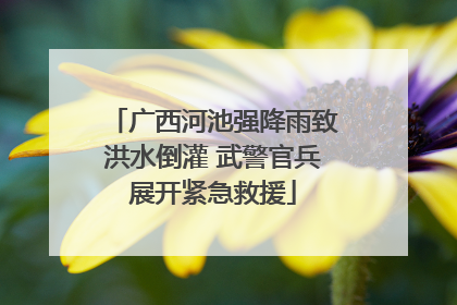 广西河池强降雨致洪水倒灌 武警官兵展开紧急救援