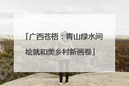 广西苍梧：青山绿水间绘就和美乡村新画卷