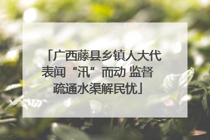 广西藤县乡镇人大代表闻“汛”而动 监督疏通水渠解民忧