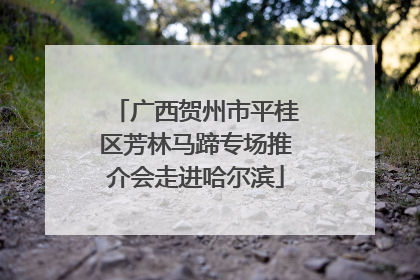 广西贺州市平桂区芳林马蹄专场推介会走进哈尔滨
