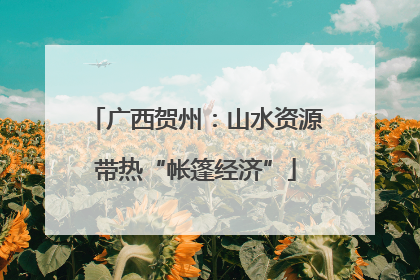 广西贺州：山水资源带热“帐篷经济”