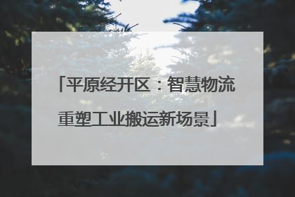 平原经开区：智慧物流重塑工业搬运新场景