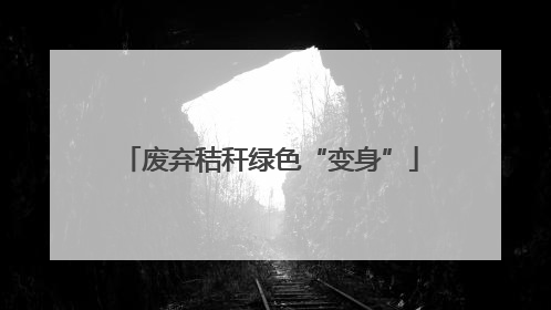 废弃秸秆绿色“变身”