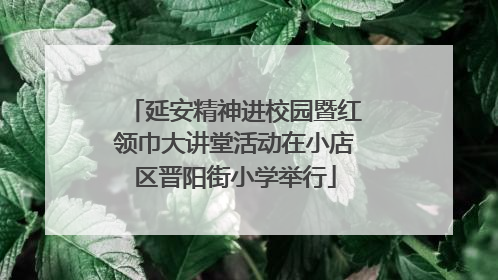 延安精神进校园暨红领巾大讲堂活动在小店区晋阳街小学举行