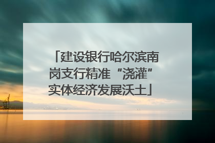 建设银行哈尔滨南岗支行精准“浇灌”实体经济发展沃土