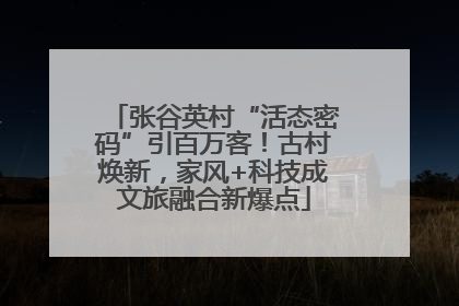 张谷英村“活态密码”引百万客！古村焕新，家风+科技成文旅融合新爆点