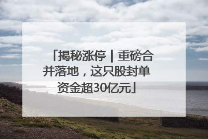 揭秘涨停｜重磅合并落地，这只股封单资金超30亿元