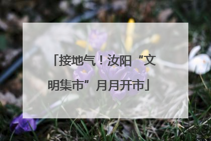 接地气！汝阳“文明集市”月月开市