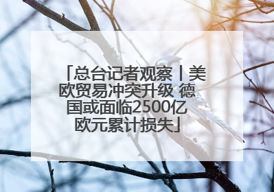 总台记者观察丨美欧贸易冲突升级 德国或面临2500亿欧元累计损失