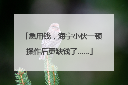急用钱，海宁小伙一顿操作后更缺钱了……