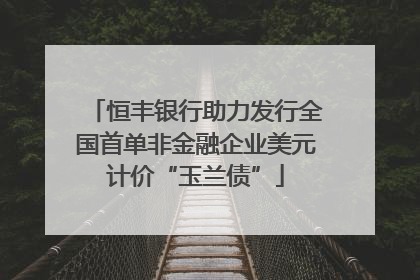 恒丰银行助力发行全国首单非金融企业美元计价“玉兰债”