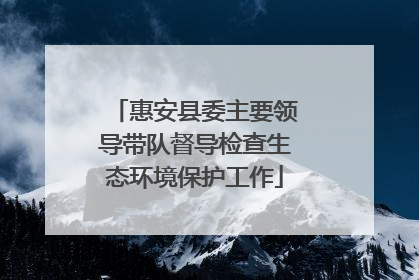 惠安县委主要领导带队督导检查生态环境保护工作