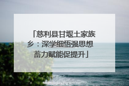 慈利县甘堰土家族乡：深学细悟强思想 蓄力赋能促提升