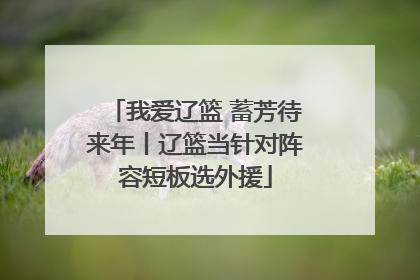 我爱辽篮 蓄芳待来年丨辽篮当针对阵容短板选外援