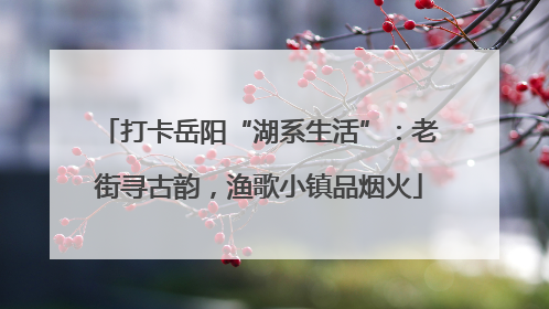 打卡岳阳“湖系生活”：老街寻古韵，渔歌小镇品烟火