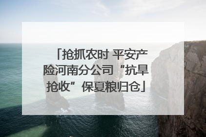 抢抓农时 平安产险河南分公司“抗旱抢收”保夏粮归仓