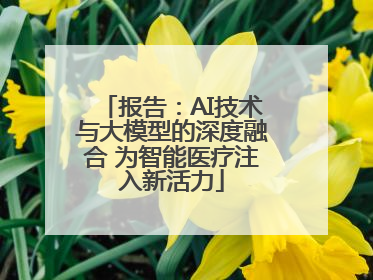 报告：AI技术与大模型的深度融合 为智能医疗注入新活力
