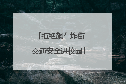 拒绝飙车炸街 交通安全进校园