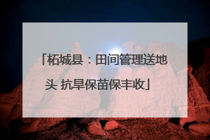 柘城县：田间管理送地头 抗旱保苗保丰收