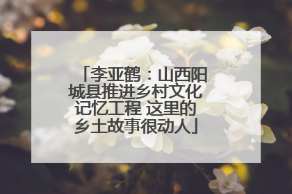 李亚鹤：山西阳城县推进乡村文化记忆工程 这里的乡土故事很动人