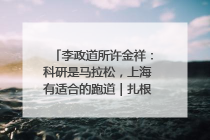 李政道所许金祥：科研是马拉松，上海有适合的跑道｜扎根上海，从0到1