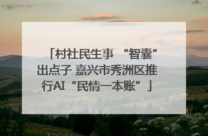 村社民生事 “智囊”出点子 嘉兴市秀洲区推行AI“民情一本账”