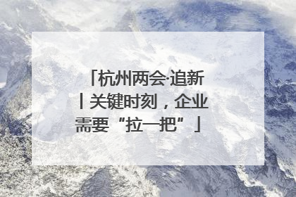 杭州两会·追新丨关键时刻，企业需要“拉一把”