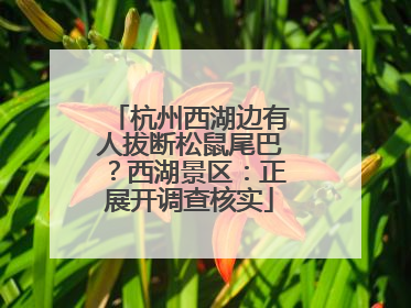 杭州西湖边有人拔断松鼠尾巴？西湖景区：正展开调查核实