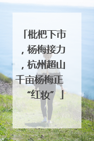 枇杷下市，杨梅接力，杭州超山千亩杨梅正“红妆”