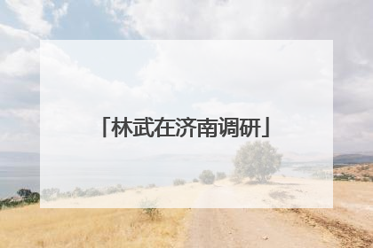 林武在济南调研