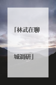 林武在聊城调研