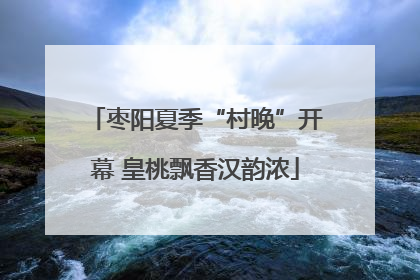 枣阳夏季“村晚”开幕 皇桃飘香汉韵浓
