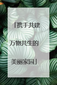 携手共建万物共生的美丽家园