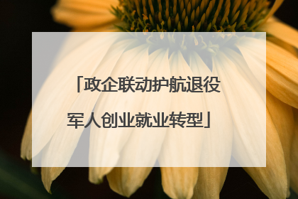 政企联动护航退役军人创业就业转型