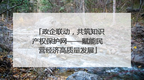 政企联动，共筑知识产权保护网——赋能民营经济高质量发展